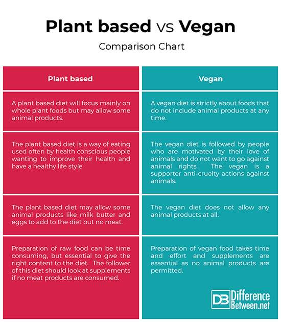 Following diet. Vegan Plant based. Difference between Vegan and Vegetarian. Comparison of Vegans and Vegetarians. Among between разница.